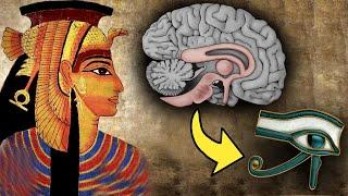Third Eye Pineal Gland The Biggest Cover-Up in Human History