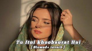 Tu Itni Khoobsurat Hai Lofi mix song slowed+ reverb  Arindam lofi