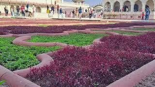 Tour of Red Fort IN ONE MINUTE  Must see places of Agra  #shorts #shortsvideo #ytvideo