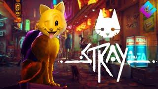 IM AN ACTUAL CAT  Stray  Fan Choice Friday
