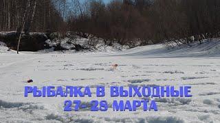 Отчет с рыбалки в выходные 27-28 марта Щукаплотва голавль елец налим.