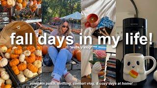 FALL DAYS IN MY LIFE cozy october days pumpkin patch concert vlog & thrifting