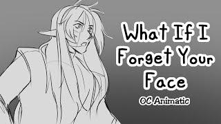 What If I Forget Your Face  OC Animatic