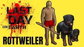 SE VIENEN LOS ROTTWEILERS A LAST DAY ON EARTH