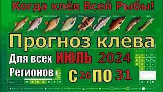 Прогноз клева рыбы на Эту неделю с 26 по 31 Июля 2024 Календарь рыбака на Июль Лунный календарь