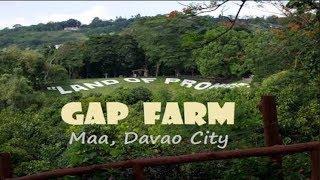 GAP FARM DAVAO 2k18