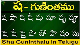 ష గుణింతం  Sha gunintham  How to write Telugu Sha guninthalu  Telugu varnamala Guninthamulu
