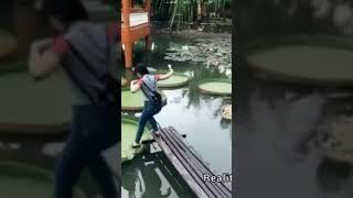 VIDEO LUCU CEWEK MAIN EKSPERIMEN JALAN DI ATAS AIR MALAH KECEBUR #shorts