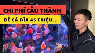 Bể cá đĩa 45 triệu có gì Nguyễn Du aqua
