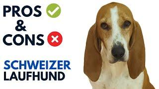 Schweizer Laufhund Pros and Cons  Swiss Hound - Swiss beagle Dog Advantages and Disadvantages