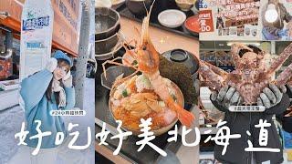 北海道是什麼神仙地方️場外市場遊玩雪和電視塔合照此生吃過最大的帝王蟹
