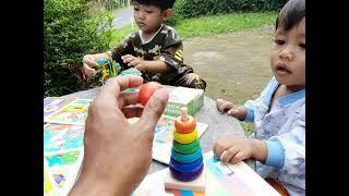 montessori puzzle warna