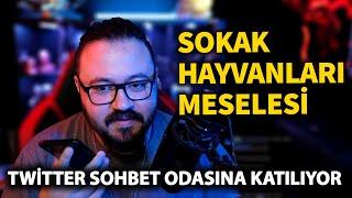 Jahrein - Sokak Hayvanları Meselesi  Twitter Sohbet Odasında Konuşuyor