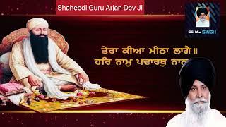 ਕਿਉਂ ਕੀਤਾ ਗਿਆ ਗੁਰੂ ਅਰਜਨ ਦੇਵ ਜੀ ਨੂੰ ਸ਼ਹੀਦ ? Shaheedi Guru Arjan Dev Ji Gyani Sant Singh Maskeen Ji