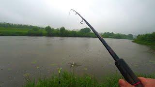 Во время дождя клюёт только КРУПНАЯ РЫБА.Рыбалка на фидер. Рыба любит такую погоду.Рыбалка на Угре.