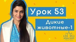 Урок № 53. Дикие животные в арабском языке