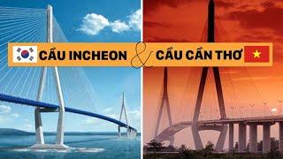 Cầu Cần Thơ Việt Nam vs Cầu Incheon Hàn Quốc  Can Tho Bridge vs Incheon Bridge