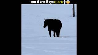 Mind blowing illusion  क्या ये सच में एक Glitch है #shorts #animals #illusion