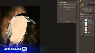 Adobe Photoshop CS6 Product Review Adorama Photography TV