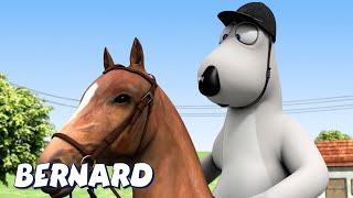 Bernard Bear  Dressage AND MORE  Cartoons for Children  Full Episodes