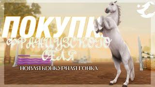 ПОКУПАЕМ ФРАНЦУЗСКОГО СЕЛЯ  Star Stable Online