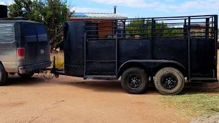 $500 HORSE TRAILER RESTORATION