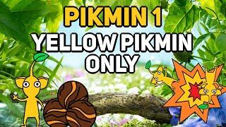 Can You Beat PIKMIN 1 With Only Yellow Pikmin?