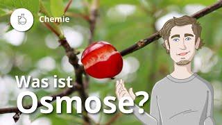 Osmose Definition Osmotischer Druck Beispiele – Chemie  Duden Learnattack