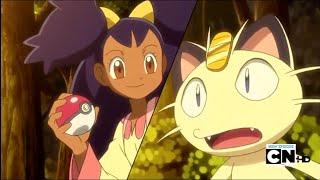 Iris almost caught meowth  Pokemon black and White