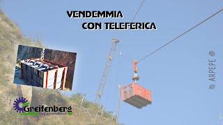 Vendemmia con teleferica radiocomandata