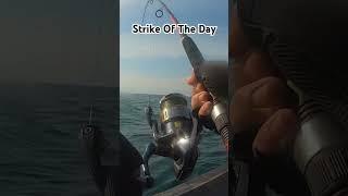 STRIKE OF THE DAY... #fishing #deepsea #fish #jenahak #mancing #fishingvideo #fishingtrip #shorts