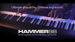 Introducing M-Audio Hammer 88 feat. Joel Holmes