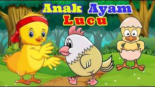 Lagu Ayam Lucu & Ayam Berkokok ️ Ayam Kok Kok Kok ️ Lagu Anak Indonesia