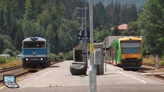 Der Grenzbahnhof Bayerisch Eisenstein waldbahn trifft ČD Regionalzüge ČD-Lok Rangierfahrten