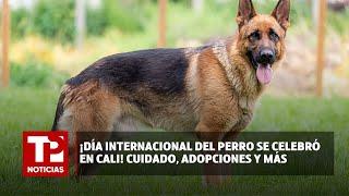 ¡Día Internacional del Perro se celebró en Cali Cuidado adopciones y más 21.07.2024 TP Noticias