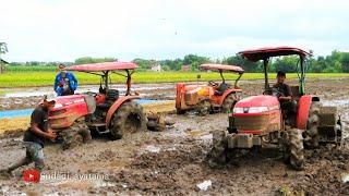 TIGA TRAKTOR SAWAH BESAR YANMAR EF393T EF494T KUBOTA L4018 DALAM SATU LAHAN BY PAK BASUKI dkk