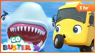 Buster and the The Wobbly Tooth Shark Go Buster - Bus Cartoons & Kids Stories