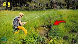 Fly Fishing for the California Golden Trout  California Gold Pt 3