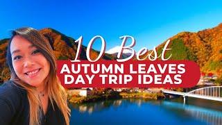 Autumn Leaves Japan 10 Best Autumn Day Trips from Tokyo to see Fall Colours