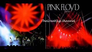 Pink Floyd    Live in Tokyo