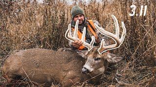 STALKING A Public Land GIANT Michigan Gun Season Success