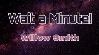 Willow Smith - WAİT A MİNUTE  Lyrics