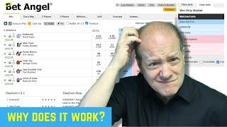 This Easy To Understand Betfair Trading Strategy Works So Well But Why?