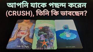 আপনি যাকে পছন্দ করেন CRUSH কি ভাবছেন? কি চান উনি? #crushreading #crushrevealed #bengalitarot