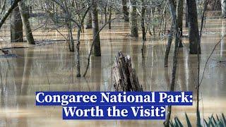 Congaree National Park - Dont plan too far ahead