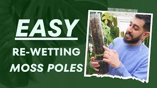  Finally Revealed How I Make My Ultimate Moss Poles  Must-See 