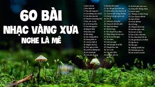 60 Bài Nhạc Vàng Xưa Nghe Một Lần Là Mê - LK Qua Cơn Mê Hoa Trinh Nữ