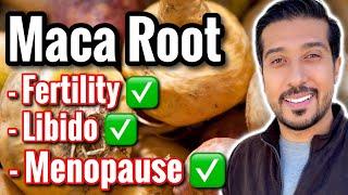 Maca Root Does This To Your  Taking Maca for Fertility Libido Menopause ED