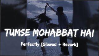 Tumse Mohabbat Hai   Slowed+Reverb   JalRaj  #TumseMohabbatHai #slowed #lofi #slowedandreverb 