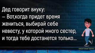 Муж Возмущённо Говорит Жене...Большой Сборник Смешных АнекдотовДля Супер Настроения